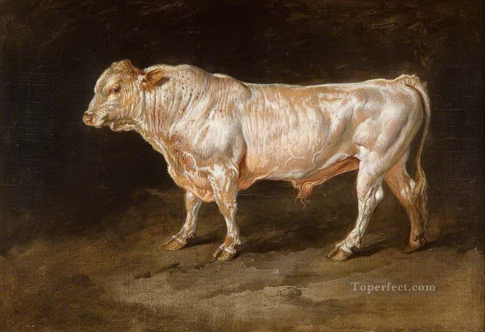 cow 14 Oil Paintings